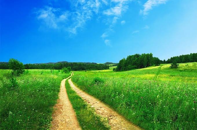 Paesaggio estivo di campagna
